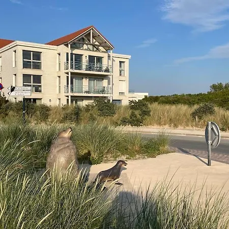 La Perle Des Dunes - Vue Imprenable & Dunes 아파트 *
